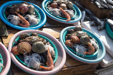 shellfish and other seafood in fish market.(Sale of Fresh clams, mussels, prawns, octopus)
