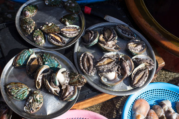 Fresh life abalones sell in seafood market