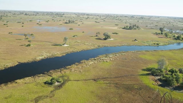 Wildlife aerial Okavango Delta Botswana Africa