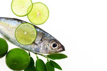 Fresh fish and lime isolated on a white background