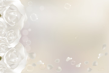 White roses, valentines concept  background for cosmetic or skin care ad, illustration vector.