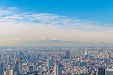 Fototapeta na wymiar 富士山と東京ビル群の空撮