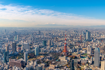 Fototapeta na wymiar 東京タワーと富士山の空撮
