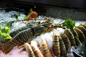 Fresh shrimp and Lobster lying on the ice