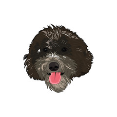 cute doge look funny