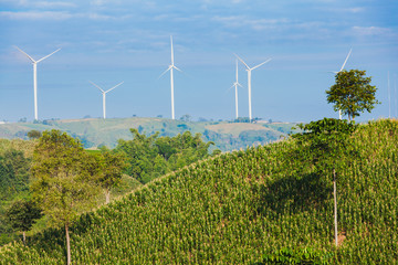 High hill with a lot of electricity polls and windturbine farm