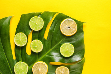 Citrus fruit slices with tropical leaf on color background