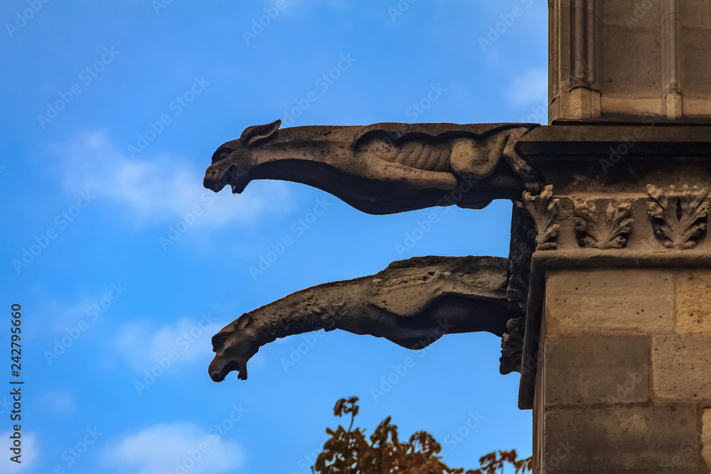 Wall mural Gothic gargoyles covered in moss on the facade of the famous Notre Dame de Paris Cathedral in Paris France with rain drops falling falling from their mouth