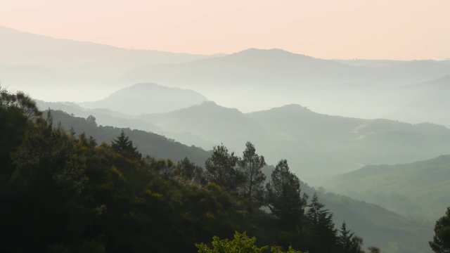 Pan: Lush Rolling Hills