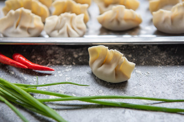 Chinese traditional delicious dumplings