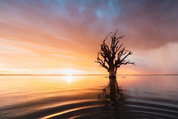 Last Light