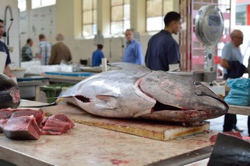 Thunfisch