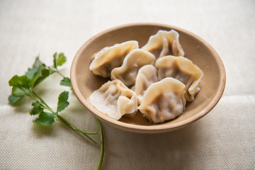 Chinese traditional delicious dumplings