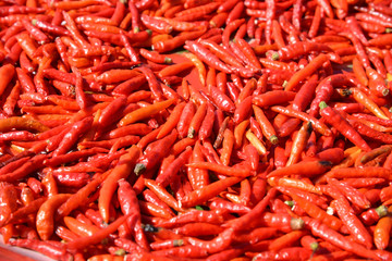 Top View Pile of Fresh Chili and Ripe Red Hot Chili in The Basket for Sale