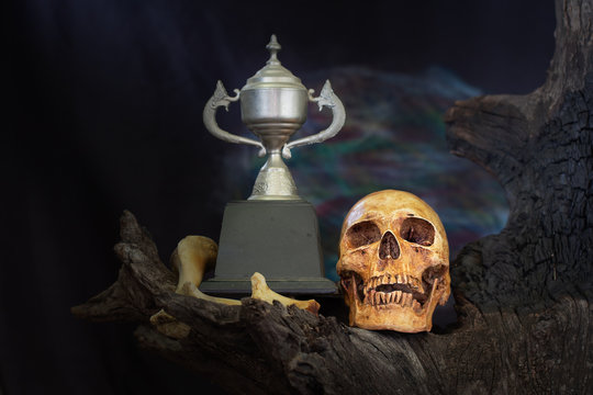 Still Life of Skull and throphy cup on wooden