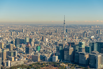 東京スカイツリーと都心の空撮