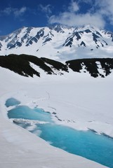 Springtime in Tateyama / Japan