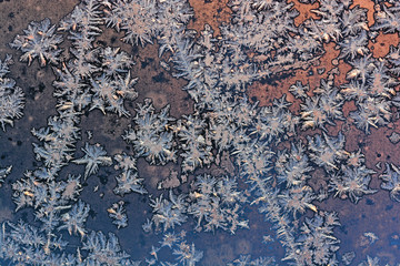 Ice flowers on a frozen window glass
