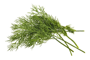 green dill isolated on white background