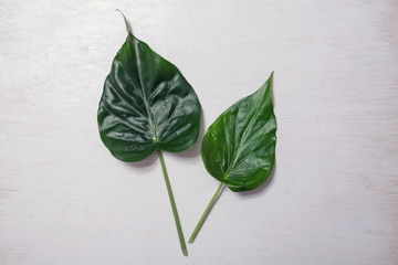 leaf on vintage background