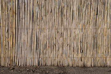 Bamboo fence