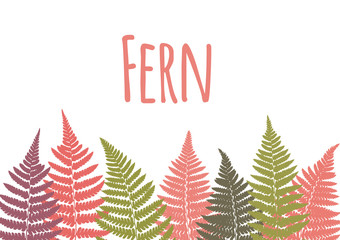 Fern leaf background. Tropical botanical card. Vector illustration