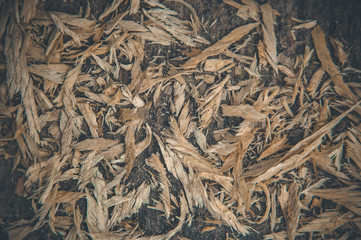 Wood chips