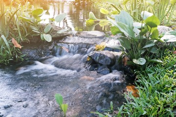 waterfall with nature light