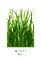 Grass Label abstract design. Green icon. Beautiful Logo Garden C