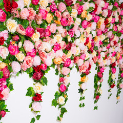 spring and summer concept - close up of wall background with colorful flowers