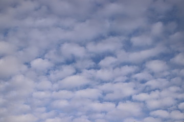 Schäfchenwolken