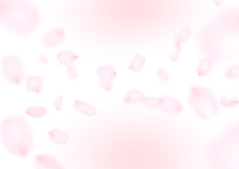 風に舞う花びら 