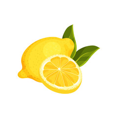 Detailed flat vector of round slice and whole lemon with green leaves. Ctrus fruit. Organic product. Natural food