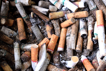 cigarettes in an ashtray