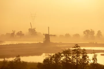 Fototapeten Windmills in a foggy morning in Leiderdorp © misign