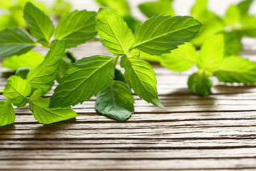 fresh mint on the wooden table