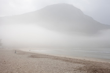 beach in winter