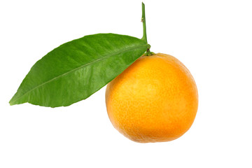 one mandarin with green leaf isolated on white background