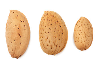 almonds isolated on white background top view