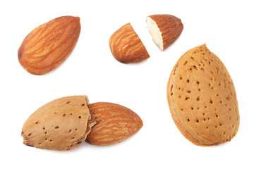 almonds isolated on white background top view