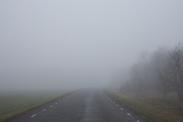 Wide shot of a foggy countryside road leading trough trees and green fields