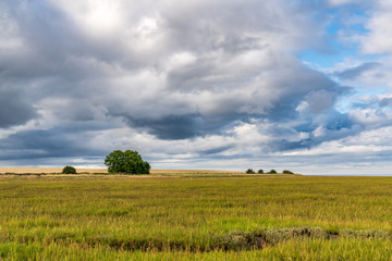Clouds over the Fenham Flats, near Fenwick in Northumberland, England, UK