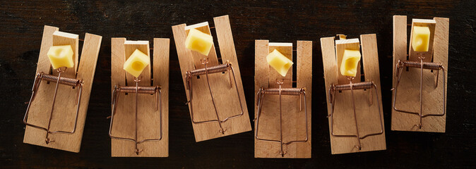 Row of mousetraps with cheese