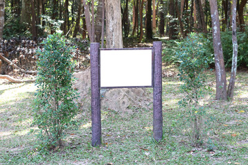 blank signboard in the forest