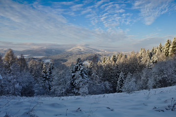 Zimowy widok na Jaworzynę Krynicką