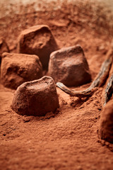 Delicious gourmet handmade chocolates