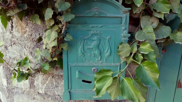 Green wall mounted cast iron mailbox with embossed lion.