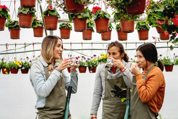 Gardeners having a tea brake