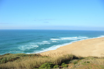 Natureza nua e crua I