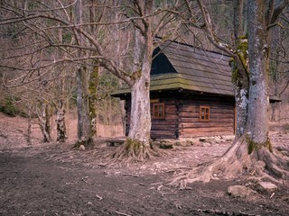Fototapeta na wymiar Mountain hut with beautiful old trees
